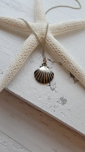 Lucky Little Shell necklace